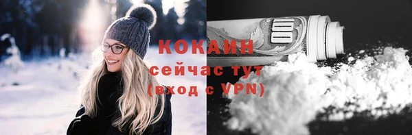 прущие грибы Заводоуковск