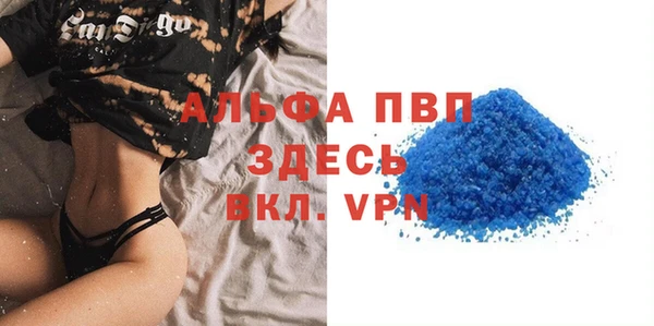 прущие грибы Заводоуковск