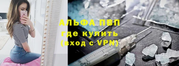 прущие грибы Заводоуковск