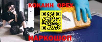 кокс Гатчина