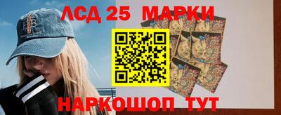 кокс Гатчина