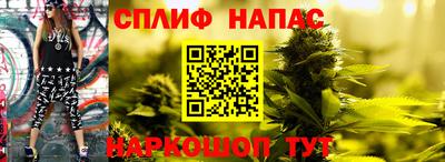 спиды Гай