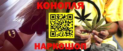 кокс Гатчина