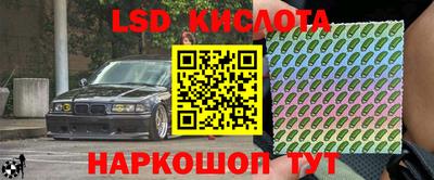 спиды Гай
