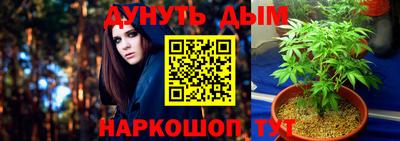 спиды Гай