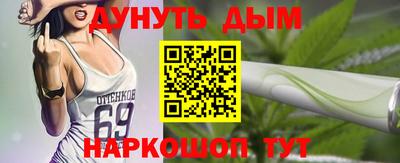 кокс Гатчина