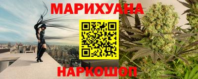 спиды Гай