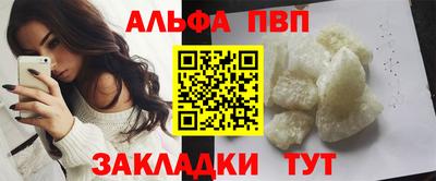 спиды Гай
