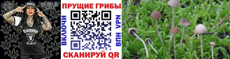 Галлюциногенные грибы ЛСД  Советск 