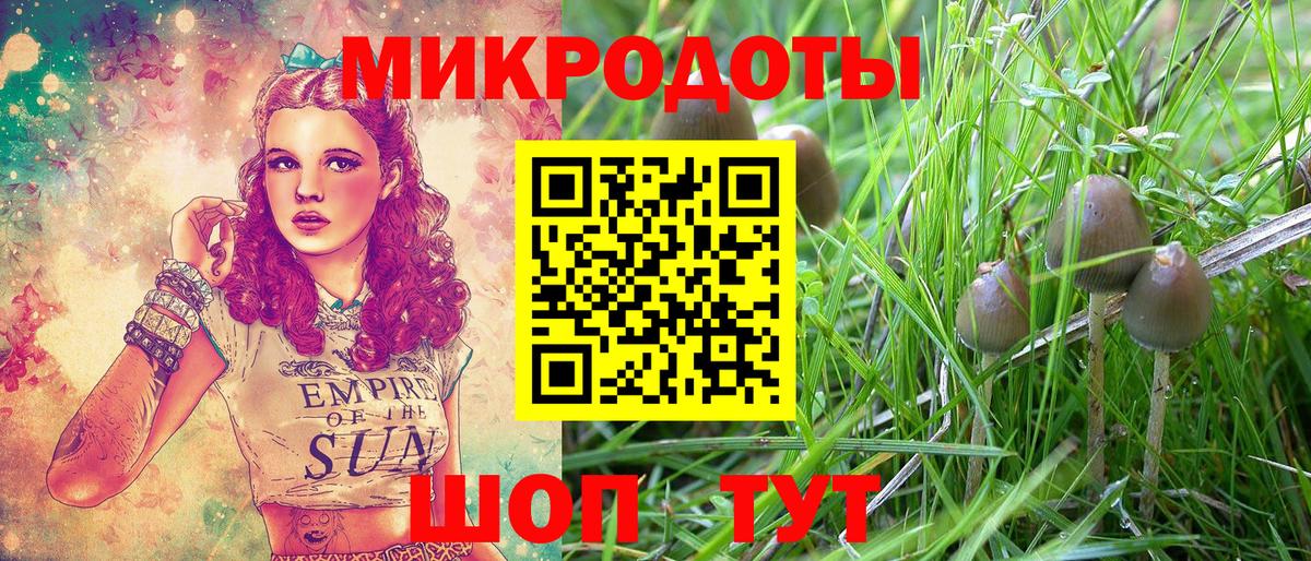 Галлюциногенные грибы ЛСД Советск