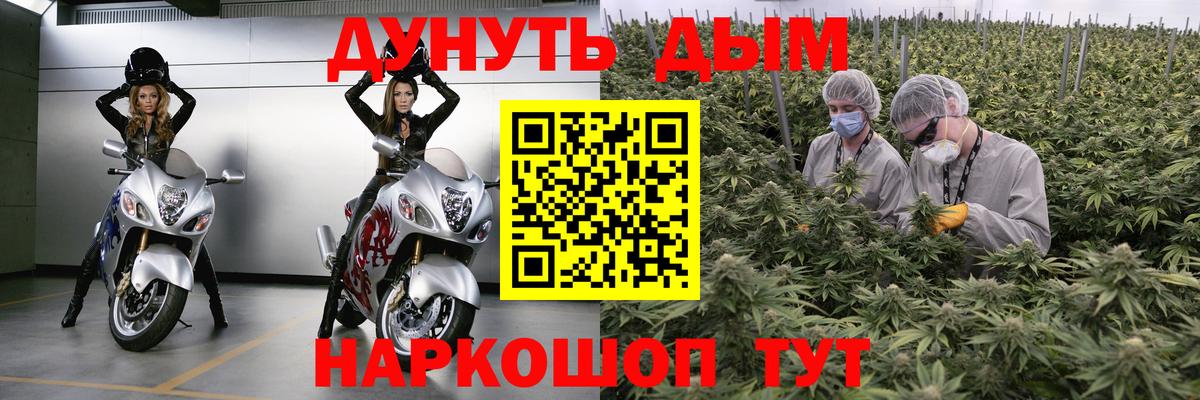 Шишки марихуана марихуана  Вход с VPN  Марихуана ГИДРОПОН  МАРИХУАНА White Widow  Советск  Каннабис Ganja 